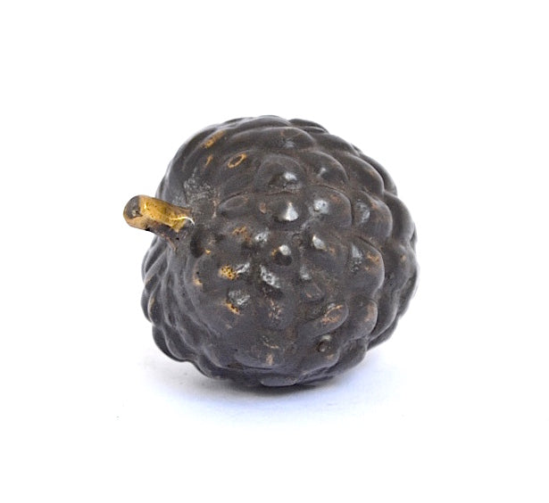 BRONZE SOURSOP