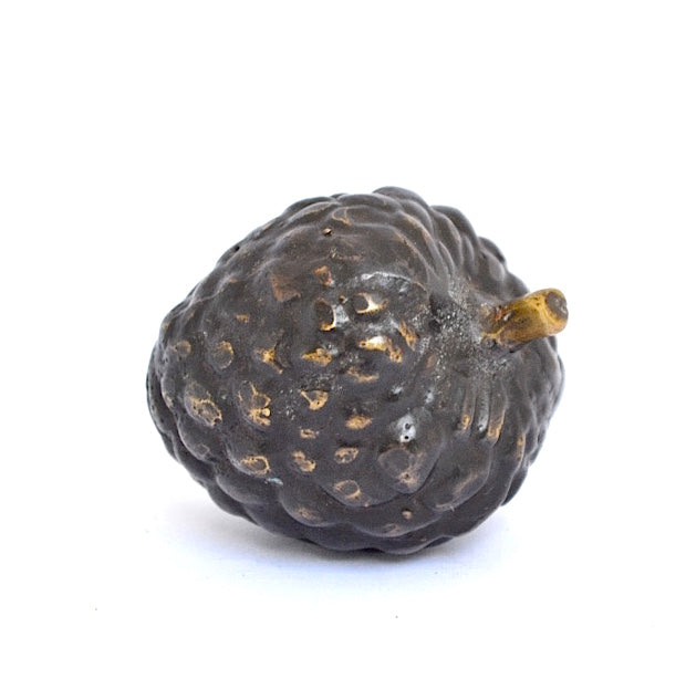 BRONZE SOURSOP